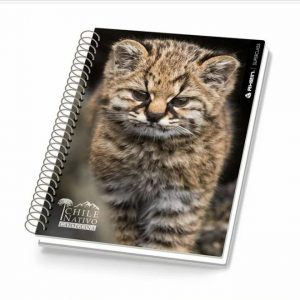 CUADERNO CARTA 150HJ 7MM RHEIN NATIVO